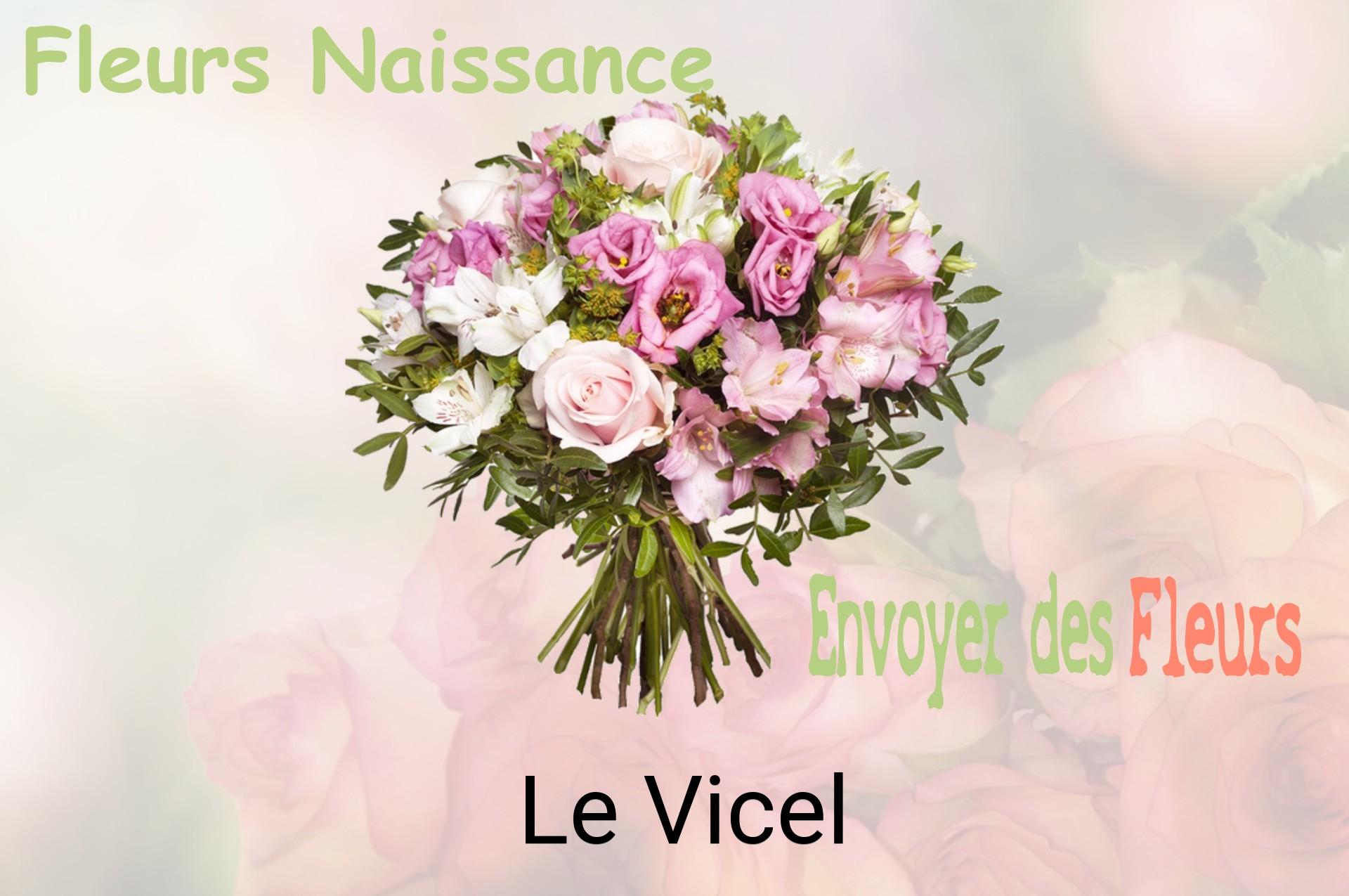 Bouquet de fleurs de naissance livré à Le Vicel