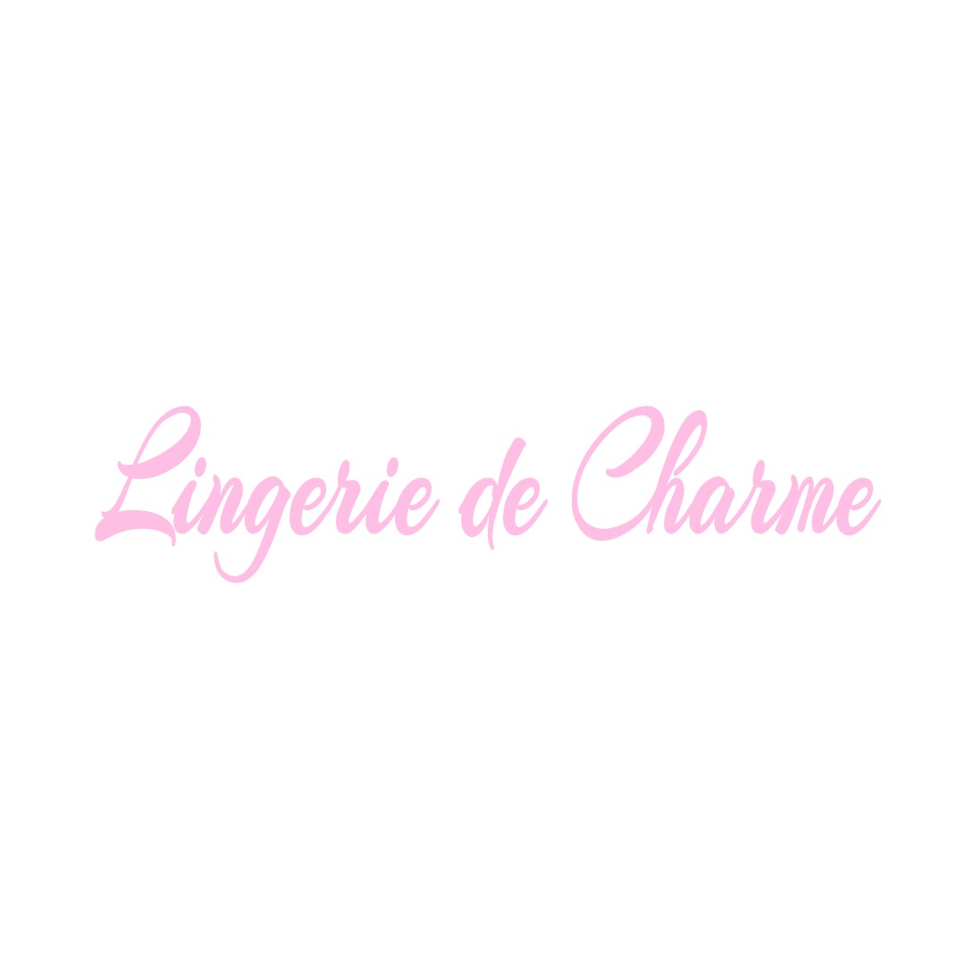 LINGERIE DE CHARME LE-VICEL